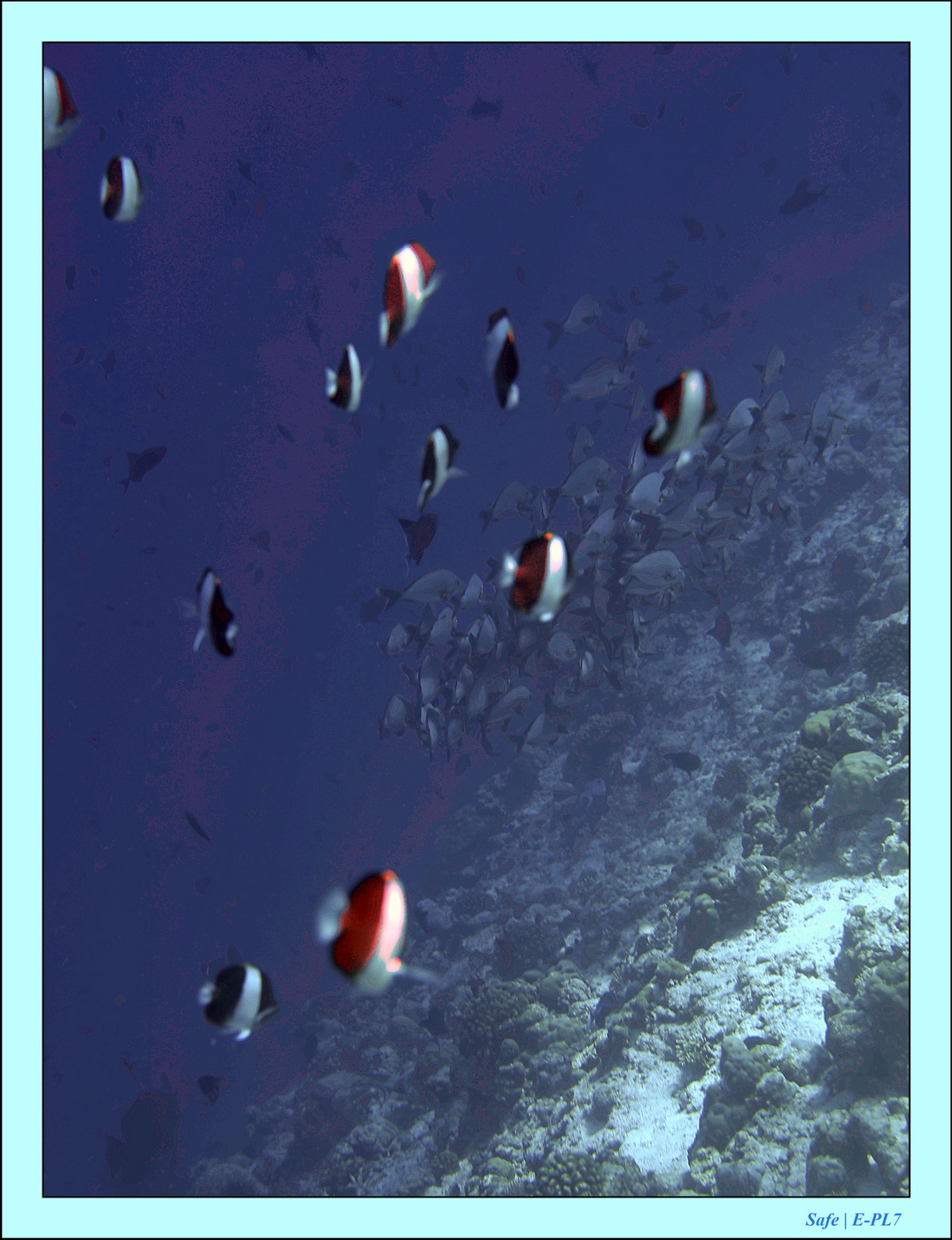 2023 - 07 - Sandies Bathala - 168